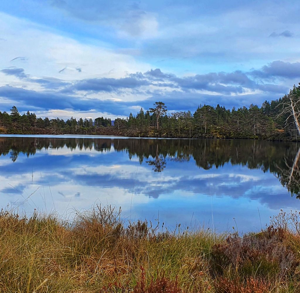 Solo adventure into the Caledonian Forest